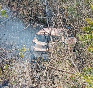 Bengaluru Tourists' Selfie Session Turns Nightmarish as Car Catches Fire at Goa Beach