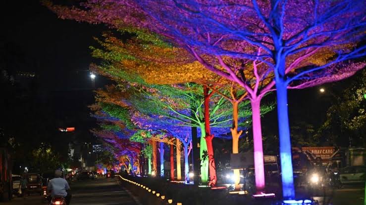 BMC Follows Bombay HC Order, Begins To Remove Decorative Lights From Trees