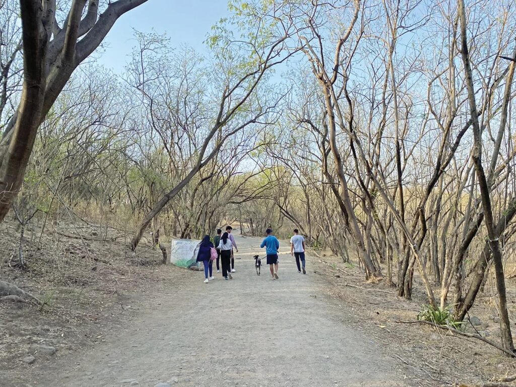 Environmental Concerns Take Center Stage In Maharashtra Election Campaigns As Pune Voters Demand Sustainable Urban Development