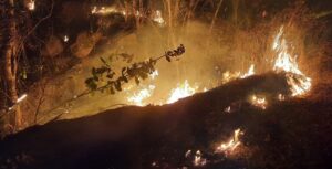 Pune: Wildfire breaks out at Bhilarewadi in Katraj Ghat