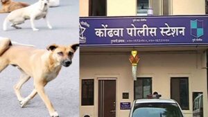 Pune Man Critically Injured By Four Youths Over Barking Dog