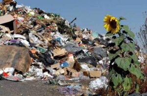 India Ranked Among Top 12 Nations Responsible for 60% of Global Mismanaged Plastic Waste Despite Low Per Capita Production : Reveals Report
