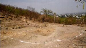 PMC reaffirms Balbharati Road Project, assures no environmental damage