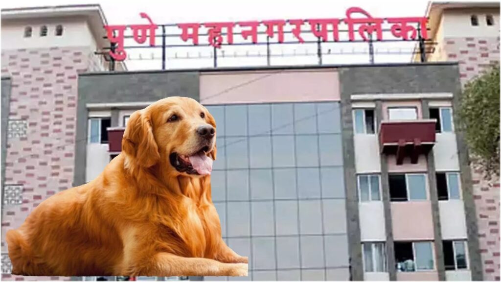 Is your pet registered with Pune Municipal Corporation ? Here's how you can do it online.