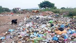 Pune: Construction Debris Zone In Ravet Turns Into Dumping Ground, Raises Environmental Concerns