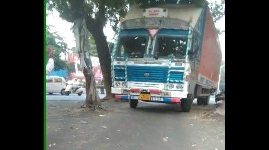 Pune: Residents of Navshya Maruti Area in Dhayari Urges PMC To Preserve Trees in Viral Video