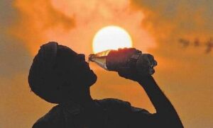 Weather Update: Heat Wave Advisory Issued for Pune and Surrounding Districts