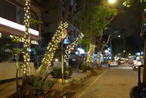 Pune Citizens Urge PMC To Remove Harmful Artificial Lights From Trees