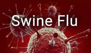 Pune: Swine flu causes two deaths in Maharashtra