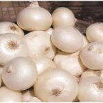 Centre allows export of 99,150 MT white onion to six countries Bangladesh, UAE, Bhutan, Bahrain, Mauritius and Sri Lanka