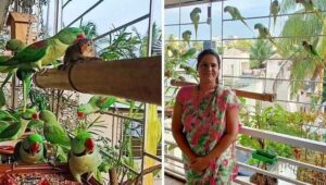 Pune: Karve Nagar Resident Smita Pasalkar Wins Hearts with Her Bird Sanctuary and Conservation Efforts