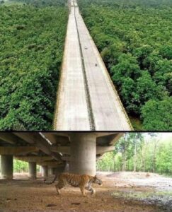 Anand Mahindra shares stunning photos of elevated highway through Pench Tiger Reserve