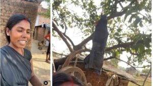Clever Water-Cooling Hack from an Indian Village Goes Viral