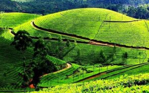 Unveiling India's Top Ten Summer Escapes: June-July Edition