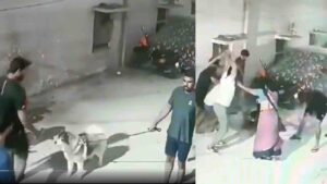 On Cam Incident: Dog & Pet Parent Attacked With Sticks By Neighbour In Hyderabad