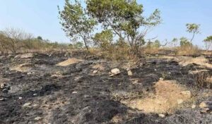 Pune: Anandvan Forest In Mohammadwadi Suffers Multiple Fire Incidents, Two Culprits Nabbed By Forest Dept