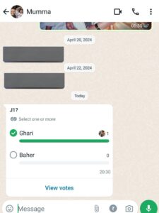 Pune Mother's 'J1' WhatsApp Poll Goes Viral, Netizens Praise Her Cool Abbreviation