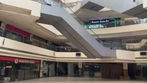 Rise of Ghost Shopping Malls: Challenges and Trends in India's Retail Sector as Online Shopping Surges; Report