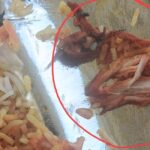 Pune Man Finds Chicken In Paneer Biryani, Says ‘Religious Sentiments Hurt’; Zomato Responds”