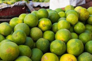 Unseasonal Rains Cause Sudden Drop in Lemon Prices in Pune