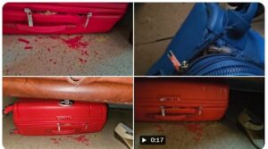 Passengers of Train Frustrated as Rodents Damage Luggage