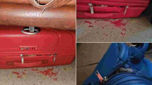 First AC Train Passengers' Luggage Damaged by Rodents, Leading to Frustration