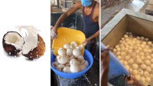 "India's only zero waste food industry?" Video Of Coconut factory captivates Internet