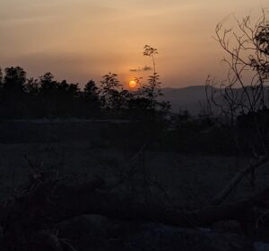 Curious About Why There Is Downfall In Heat In Pune City? Here Are Some Significant Details