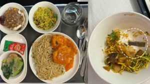 Air India Passenger Finds Blade in In-Flight Meal, Airline Responds
