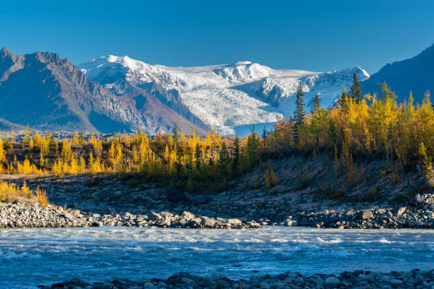 Beyond Borders: National Parks That Rival Entire Nations In Size And Splendour