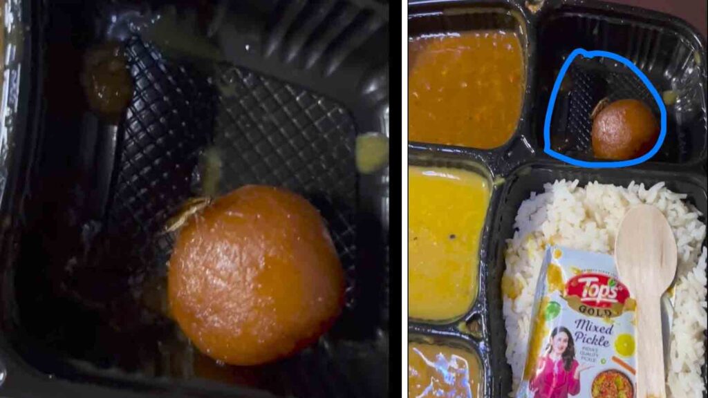 Cockroach Found in Train Meal: Passenger's Video Goes Viral on Reddit
