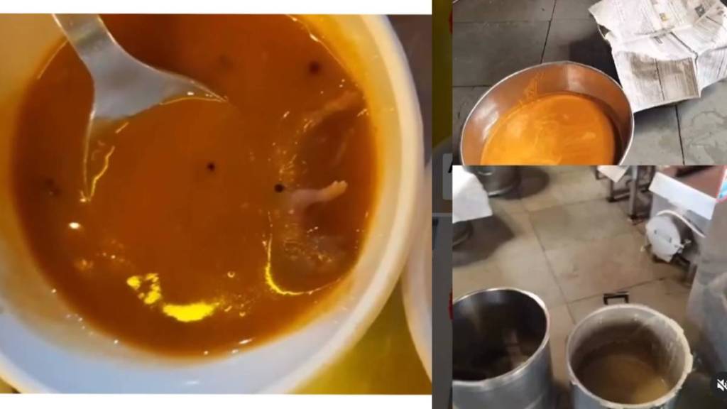 Dead rat found in Sambar at popular Ahmedabad restaurant