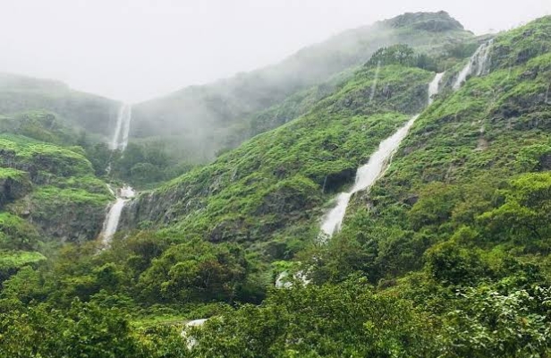 Tourist Ban Imposed by Forest Department in Tamhini Wildlife Sanctuary Following Monsoon Accident Spike