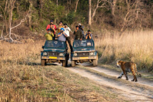 Jim Corbett National Park: A Haven for Tigers and Elephants