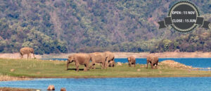 Indian Environmentalists Establish First Biosphere in Tiger Reserve