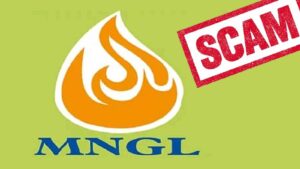Pune: Four duped of Rs 15 lakhs in MNGL scam