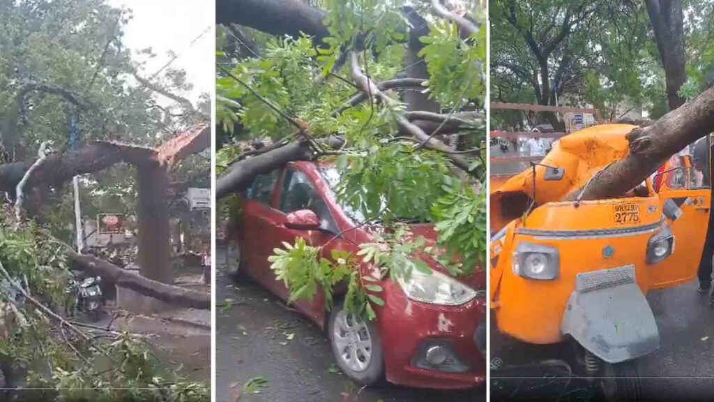 Pune: Huge tree fell on Shivarkar road in Fatima Nagar leaving 10 vehicles damaged