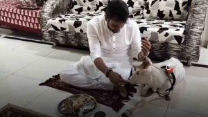Pune Lawyer's Unique Bond with Cows: Takes Them to Malls for Outings