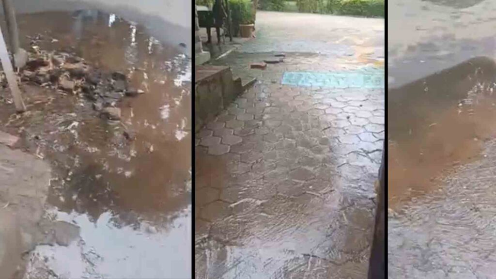 Pune: Sewage Water Woes at Kalyani Nagar Joggers’ Park