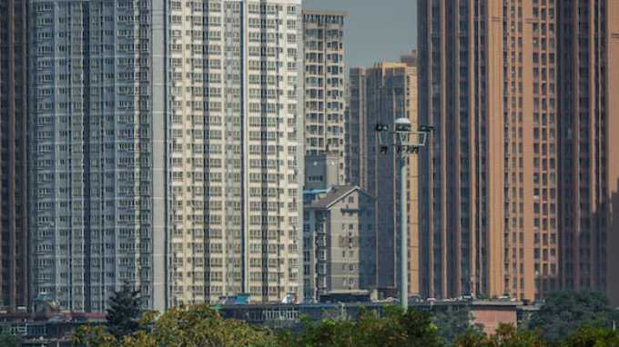 Expert Advises Pet Owners to Ensure Pets Do Not Cause Trouble in Housing Societies