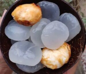 Top 5 benefits of Ice Apples. Read Why You Must Include In Your Summer Diet.