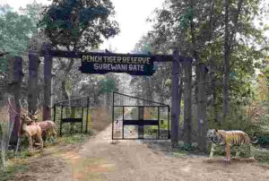Maharashtra: Pench Tiger Reserve Installs India's First AI Forest Fire Detection System