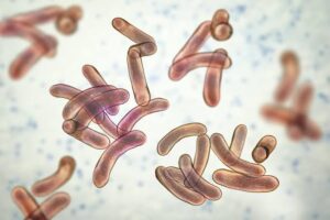 PCMC closes contaminated water line that triggered cholera outbreak; 133 patients with symptoms identified