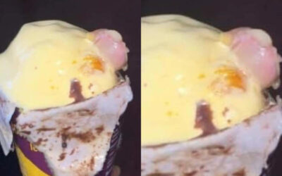 Mumbai: MBBS Doctor Finds Human Finger in Butterscotch Ice Cream Ordered Online
