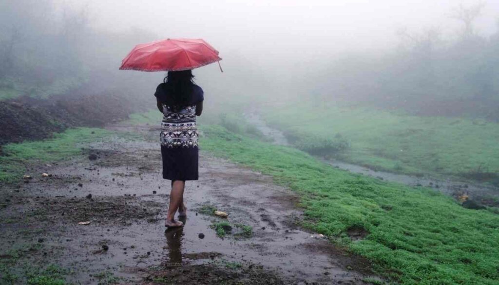 Weather Update: Heavy Rainfall Warning Issued in Maharashtra, Yellow Alert in Several Ghat Areas Around Pune  
