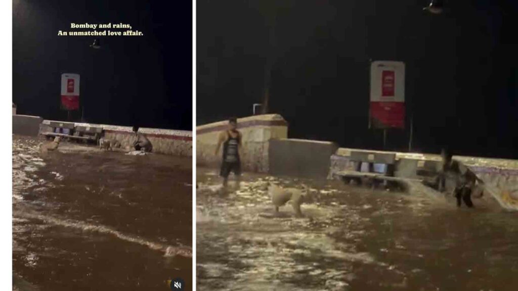 Viral Video: Mumbai Boy's Heartwarming Playtime with Stray Dogs Amid Monsoon Delights Internet