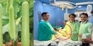 Doctors Remove 16-Inch Lauki from Man’s Rectum in Madhya Pradesh After 2-Hour Surgery
