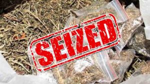 DRI seizes contraband ganja worth Rs 5 crore at Mumbai airport