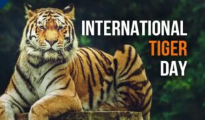 International Tiger Day