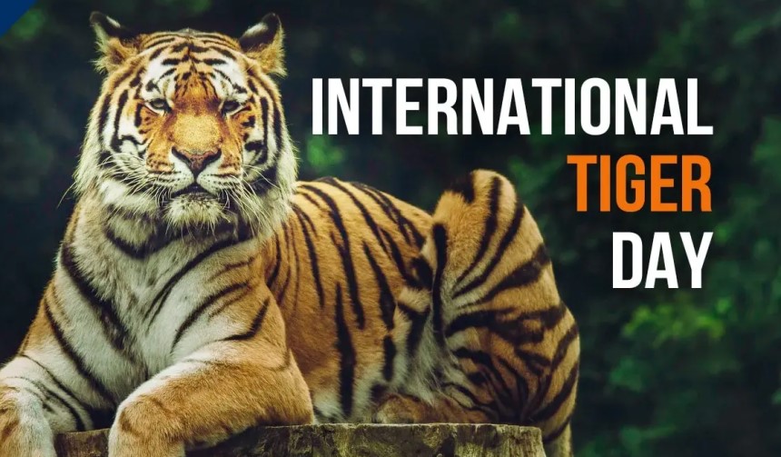 International Tiger Day
